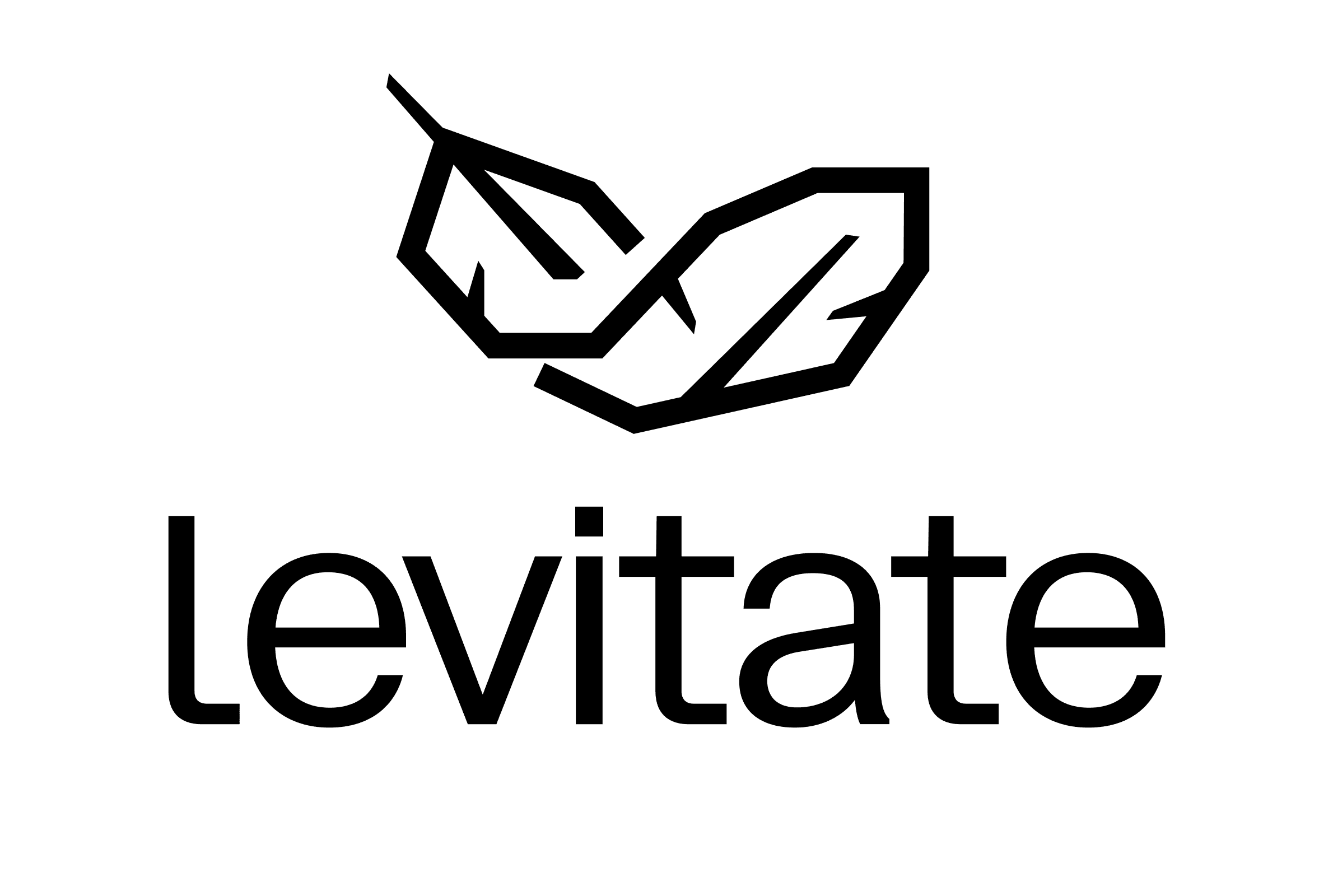 Levitate Hammock - український бренд гамаків